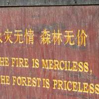 The Fire Is Merciless...