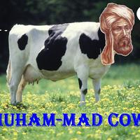 Muham-mad Cow