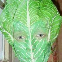 Lettuce head