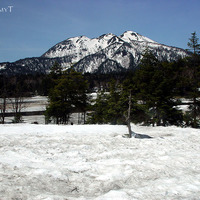 Oze, Japan in 6, May, 2002