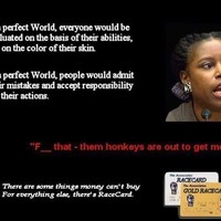 The Race Card