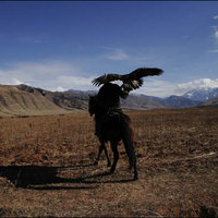 Eagle Hunter   bbc news