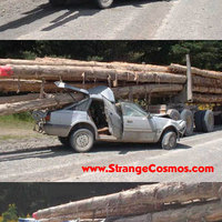 logging accident