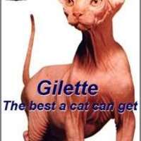 Gilette - The Best A Cat Can Get