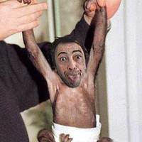 Monkeyboy