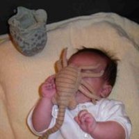 an infant being pwned