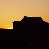 farm sunset