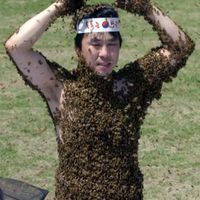 Bees against Japan