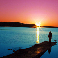 shopped sunset