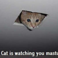 just so you know...