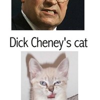 Cheney's son was a Cat!