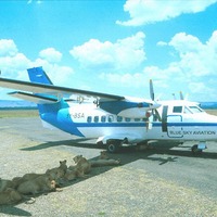 Anybody up for a joyflight?