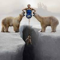 Polar bear rescue