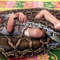 Boy with python