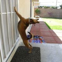 OOOOoooooWWWW!