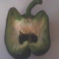 Evil Pepper.... I just had to take a pic of it
