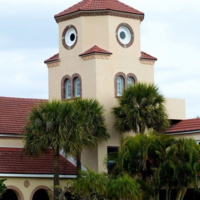 Confused chicken church