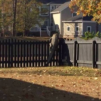 quasi why bother build a fence in Florida