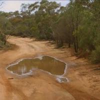 Australian puddle