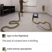 Introductory Python