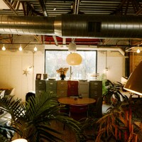 Modern office interior with plants and filing cabinets by Brooke Balentine