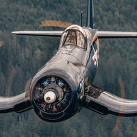 "Warbirds: F4U Corsair" by marius van dyk