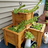 planter box on front steps