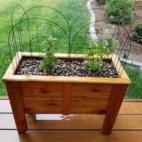 planter box on back deck