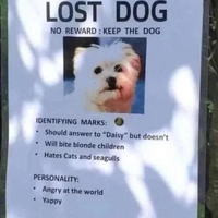 daisy 