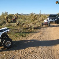 Quad bike in the desert 1