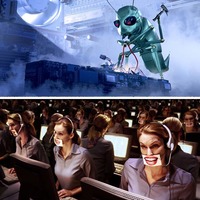 computer bugs