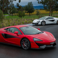 Breeding pair of McLarens