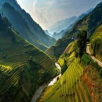 Vietnamese rice terraces