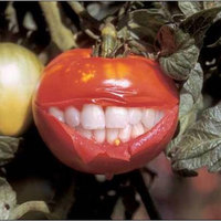 smilling-tomato