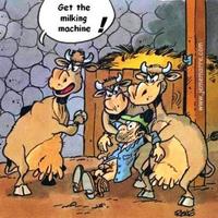 COWS REVENGE