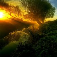 Sunrise 3   By: Tomasz Dubinski