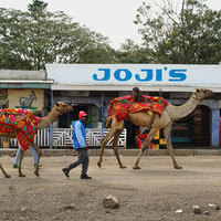 camel street