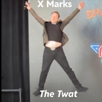 X's Musk's a Twat