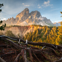 "Morning Light " by Michael Bottari