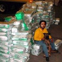 NGH weed shipment