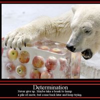Determination poster