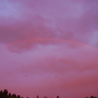 Rare Nigthfall Rainbow 2