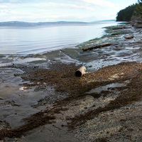 Yellow Point Nanaimo B.C.