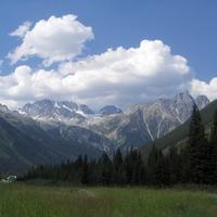 Rogers Pass
