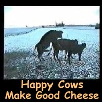 Happy Cows