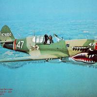 Some dude on a nice cruise in his Curtiss P40 warhawk