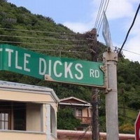 Little Dicks Road
