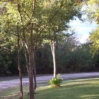 The Front Yard