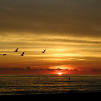 St Pete FL sunset