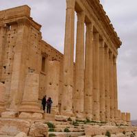 Palmyra  Columns